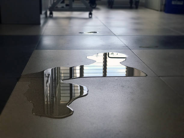 Best Water damage repair service  in Whippany, NJ