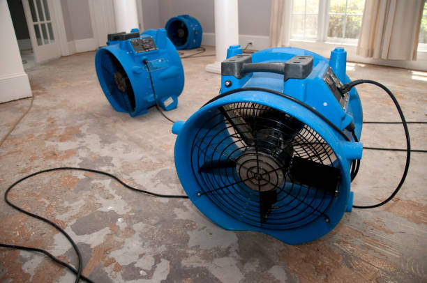 Best Local water damage restoration  in Whippany, NJ