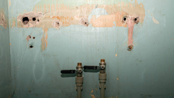  Whippany, NJ Water damage restoration Pros