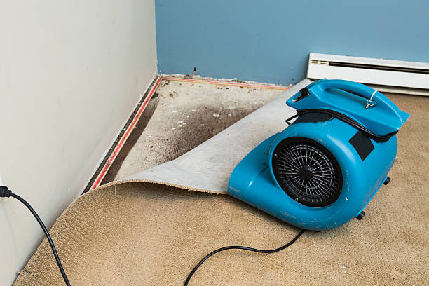 Best Sewage cleanup and water damage restoration  in Whippany, NJ